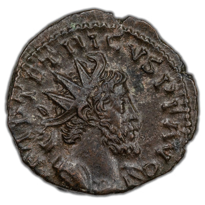 Ancient Rome AD 273-4 Tetricus I Antoninianus Coin RIC #80 2.80g 18mm
