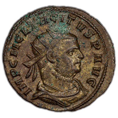 Ancient Rome AD 275-6 Tacticus Antoninianus Coin RIC #186 Var. 3.61g