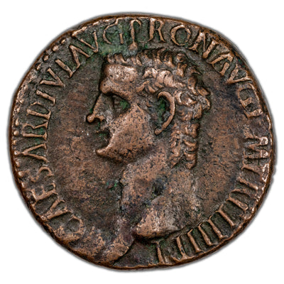 SOLD Ancient Rome AD 37-41 Caligula AE As Coin RIC #38 Sear #1803 11.19g