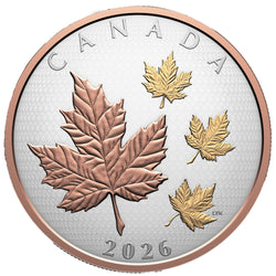 Canada 2026 $50 Maple Leaves in Motion .9999 Fine Silver Coin