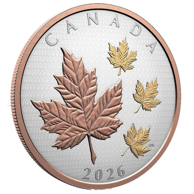 Canada 2026 $50 Maple Leaves in Motion .9999 Fine Silver Coin