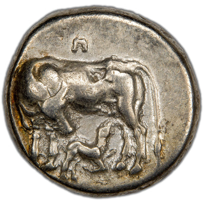 Obverse of an ancient Greek silver stater from Dyrrhachium, Illyria (c. 450–350 BC), featuring a standing cow facing left with its head turned back to suckle a calf underneath.