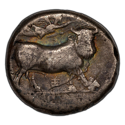 SOLD Campania Neapolis AR Nomos Silver Coin Head of Nymph Head Facing Right