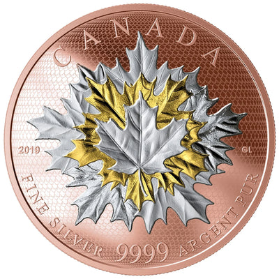 Canada 2019 $50 Maple Leaves In Motion .9999 Fine Silver Coin