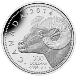 Canada 2014 $300 Rocky Mountain Bighorn Sheep .9999 Pure Platinum Coin