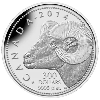 Canada 2014 $300 Rocky Mountain Bighorn Sheep .9999 Pure Platinum Coin