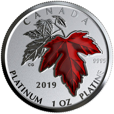 Canada 2019 $300 Maple Leaf Forever .9999 Pure Platinum Coin