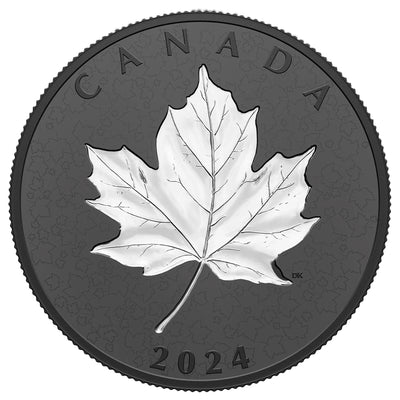 Canada 2024 $50 Maple Leaves in Motion .9999 Fine Silver Coin