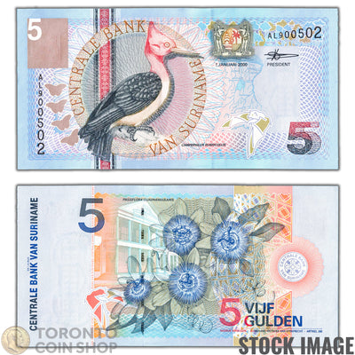 Suriname 2000 5 Gulden Note P #146 - Lightly Handled AU/UNC