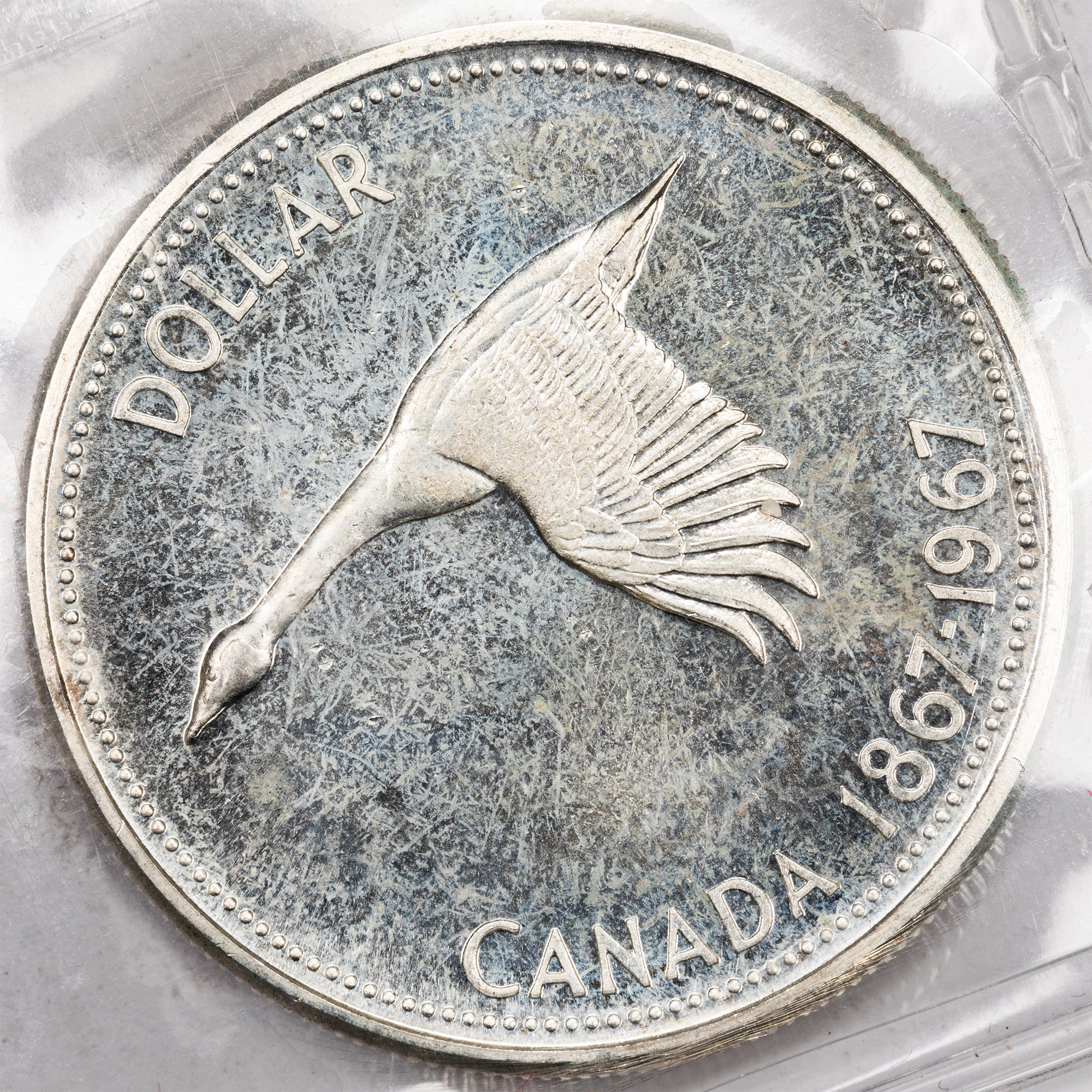 SOLD Canada 1967 Diving Goose $1 Silver Dollar Coin - ICCS MS-64 - The ...