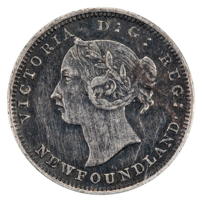 Newfoundland 1894 5 Cents Silver Coin - ICCS EF-40