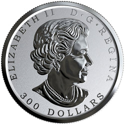 Canada 2019 $300 Maple Leaf Forever .9999 Pure Platinum Coin