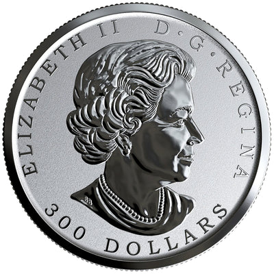 Canada 2019 $300 Maple Leaf Forever .9999 Pure Platinum Coin