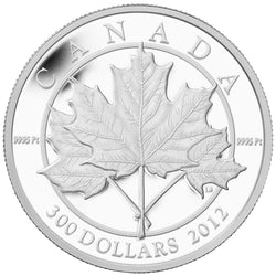 Canada 2012 $300 Maple Leaf Forever .9999 Pure Platinum Coin