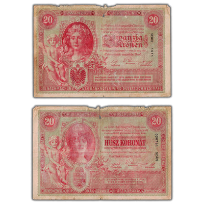 SOLD Austria 1900 20 Kronen Note P #5 - Tear