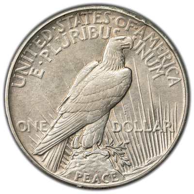 United States 1921 $1 Peace Dollar Silver Coin - Rim Damage