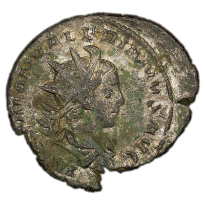 Ancient Rome Imperial AD 260 Saloninus as Augustus Antoninianus 3.38gr RIC 14
