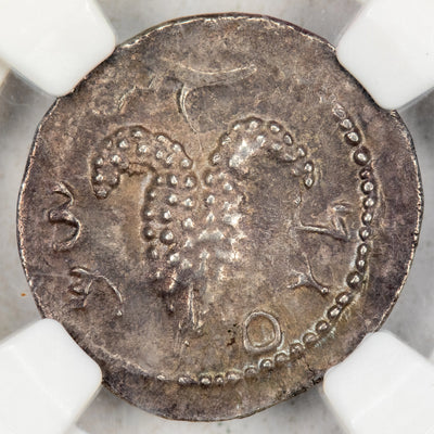 Ancient Judea AD 134-135 Bar Kokhba AR Zuz Coin Hendin #734 - NGC AU