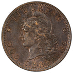 Argentina 1885 2 Centavos Coin - Almost Uncirculated