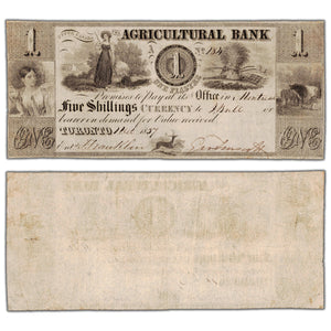 Agricultural Bank 1837 $1 Chartered Note #20-12-04-02 - VF/EF