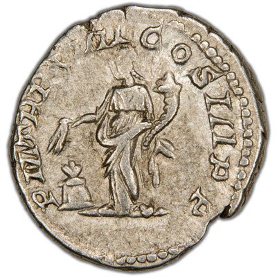 Reverse of an ancient Roman silver denarius of Emperor Septimius Severus (RIC 200, SKU: SP2786), depicting Genius standing left over an altar, sacrifice in hand, holding a patera and cornucopia.