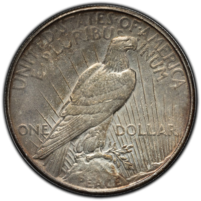 SOLD United States 1935 $1 Peace Dollar Silver Coin - Cleaned