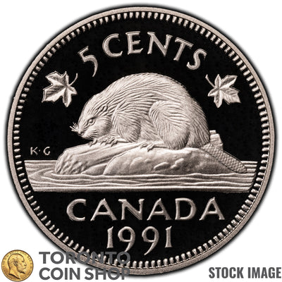 Canada 1991 5 Cents Coin - Proof Strike