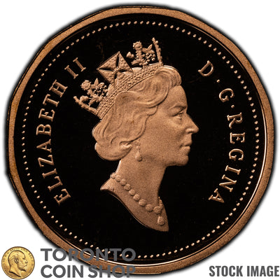 Canada 1991 1 Cent Coin - Proof Strike