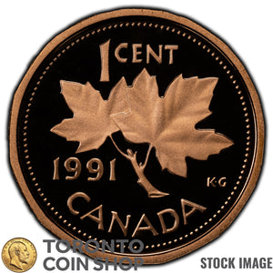 Canada 1991 1 Cent Coin - Proof Strike