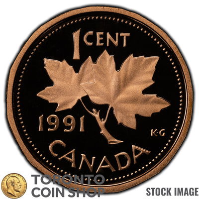 Canada 1991 1 Cent Coin - Proof Strike