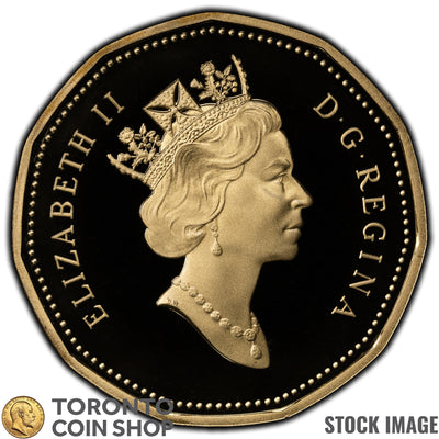 Canada 1993 $1 Dollar Loonie Coin - Proof Strike