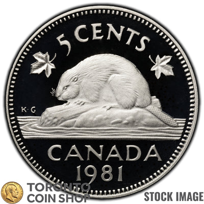 Canada 1981 5 Cents Coin - Proof Strike
