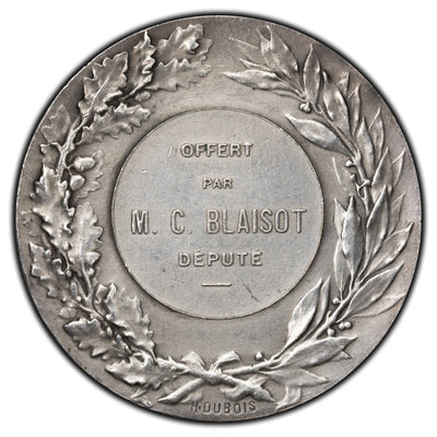 France Miscellaneous Bronze Medal Silvered - By H. Dubois