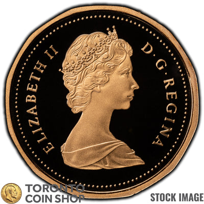 Canada 1989 1 Cent Coin - Proof Strike