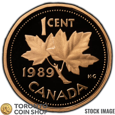 Canada 1989 1 Cent Coin - Proof Strike