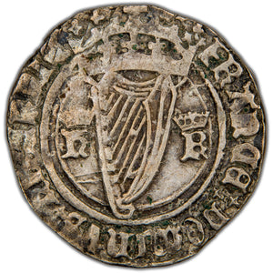 Ireland c.1540-1542 Henry VIII Groat Hammered Silver Coin SCBC 6479 2.49g