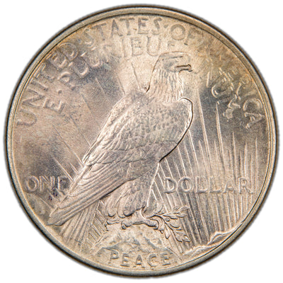 Reverse of a United States 1924 $1 Peace silver dollar coin (Philadelphia Mint, SKU: SP2876), depicting an American Bald Eagle perched on a rock cliff holding an olive branch against rays of sunlight, with the word PEACE at the base.