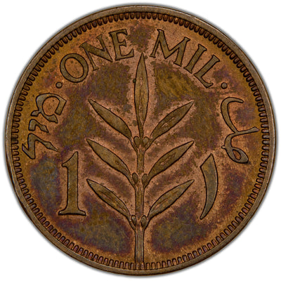 Reverse of a Palestine British Mandate 1 Mil coin (1937, SKU: SP2795), depicting a central olive branch flanked by the denomination "1 MIL" in English, Arabic, and Hebrew.
