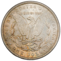Reverse of a United States 1886 $1 Morgan silver dollar coin (Philadelphia Mint, SKU: SP2880), depicting an American Bald Eagle with wings spread, holding arrows and an olive branch within a laurel wreath, with the motto IN GOD WE TRUST above.