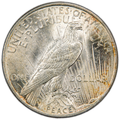 Reverse of a United States 1922 $1 Peace silver dollar coin (Philadelphia Mint, SKU: SP2877), depicting an American Bald Eagle perched on a rock cliff holding an olive branch against rays of sunlight, with the word PEACE at the base.
