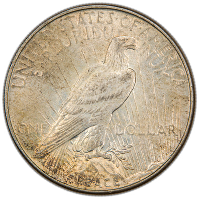 Reverse of a United States 1934 $1 Peace silver dollar coin (Philadelphia Mint, SKU: SP2874), depicting an American Bald Eagle perched on a rock cliff holding an olive branch against rays of sunlight, with the word PEACE at the base.