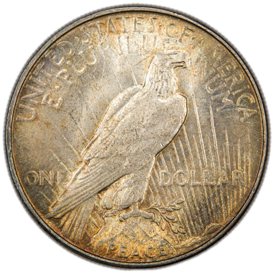 Reverse of a United States 1935 $1 Peace silver dollar coin (SKU: SP2871), displaying an American Bald Eagle perched on a mountain crag holding an olive branch, inscribed with UNITED STATES OF AMERICA, E PLURIBUS UNUM, ONE DOLLAR, and PEACE.