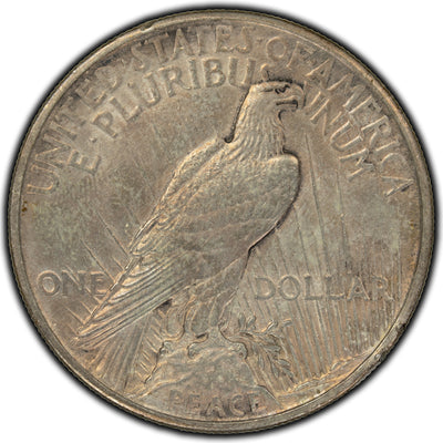United States 1921 $1 Peace Dollar Silver Coin - Cleaned